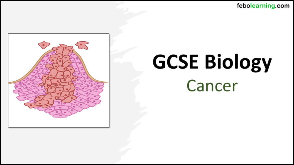 GCSE Biology Topic 2 Organisation: Cancer Title Slide