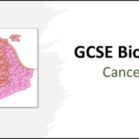 GCSE Biology Topic 2 Organisation: Cancer Title Slide