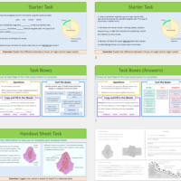 GCSE Biology Topic 2 Organisation: Cancer Lesson Thumbnails