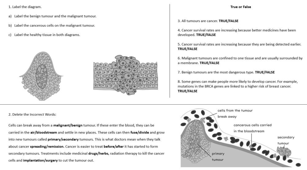 Preview of Worksheet for the lesson: Cancer