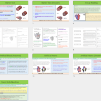 Thumbnails of lesson slides for Cardiovascular Disease part 2