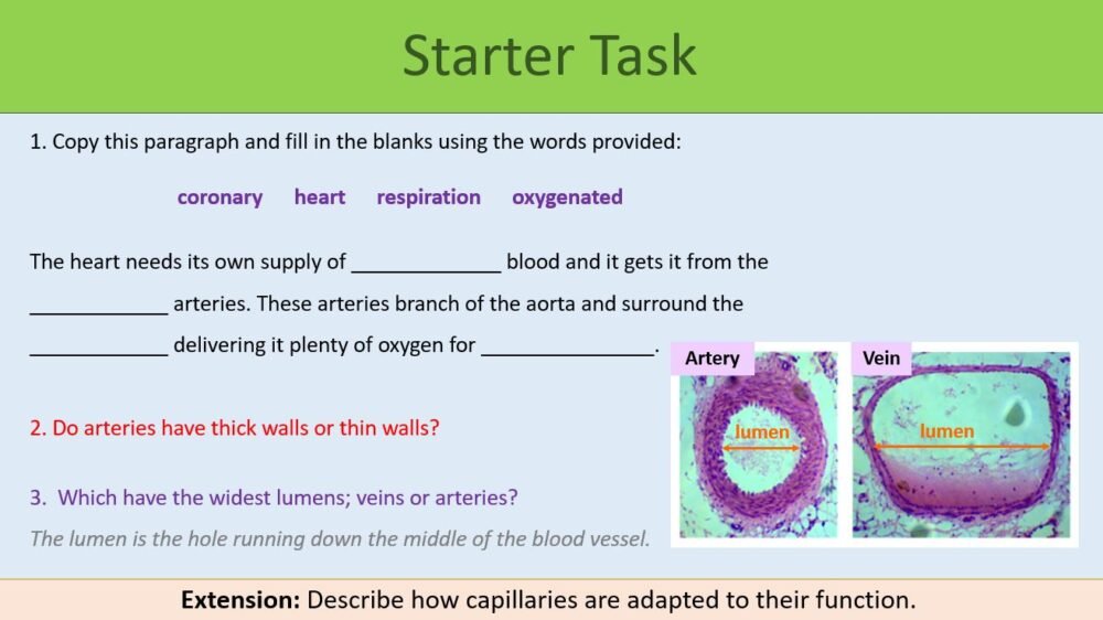 Cardiovascular Disease Starter Preview of Starter Task for Cardiovascular Disease lesson