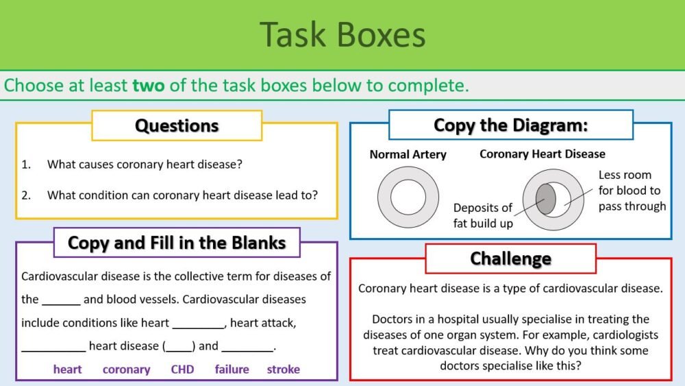 Cardiovascular Disease Task Boxes Preview of Task Boxes (Answers) exercise for GCSE Biology Cardiovascular Disease lesson