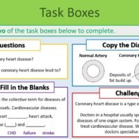 Cardiovascular Disease Task Boxes Preview of Task Boxes (Answers) exercise for GCSE Biology Cardiovascular Disease lesson