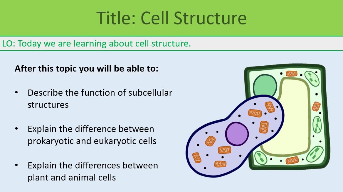 GCSE Biology Topic 1 Cells: Cell Structure - febolearning.com