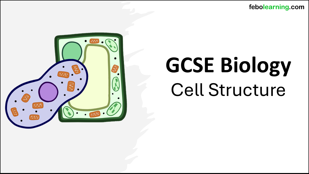 GCSE Biology Topic 1 Cells: Cell Structure - febolearning.com