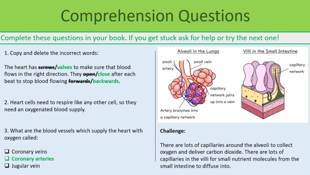 Circulatory System Comp Qs GCSE Biology Topic 2 Organisation: Circulatory System Comprehension Questions