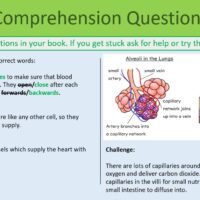 Circulatory System Comp Qs GCSE Biology Topic 2 Organisation: Circulatory System Comprehension Questions
