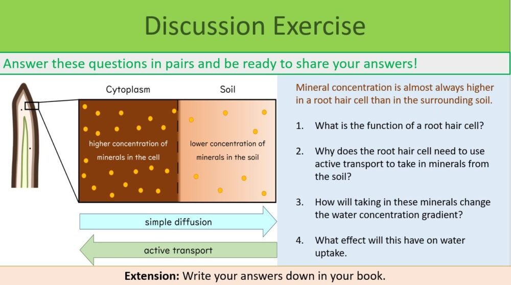 Diffusion and Osmosis Discussion Ex Preview of discussion exercise slide