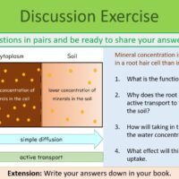 Diffusion and Osmosis Discussion Ex Preview of discussion exercise slide