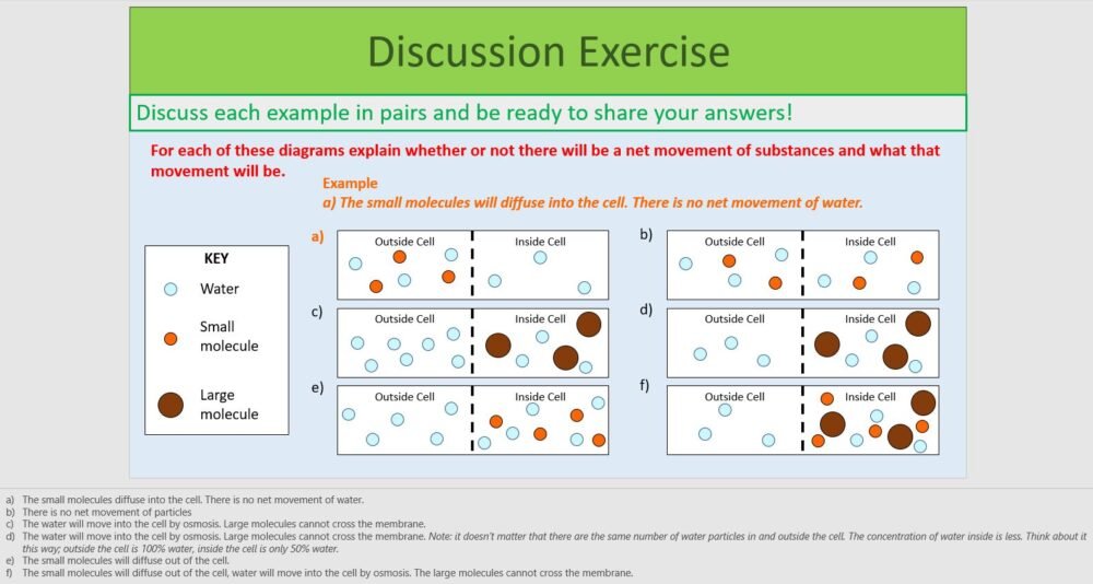 Diffusion and Osmosis Exercise Preview of discussion exercise slide