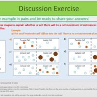 Diffusion and Osmosis Exercise Preview of discussion exercise slide