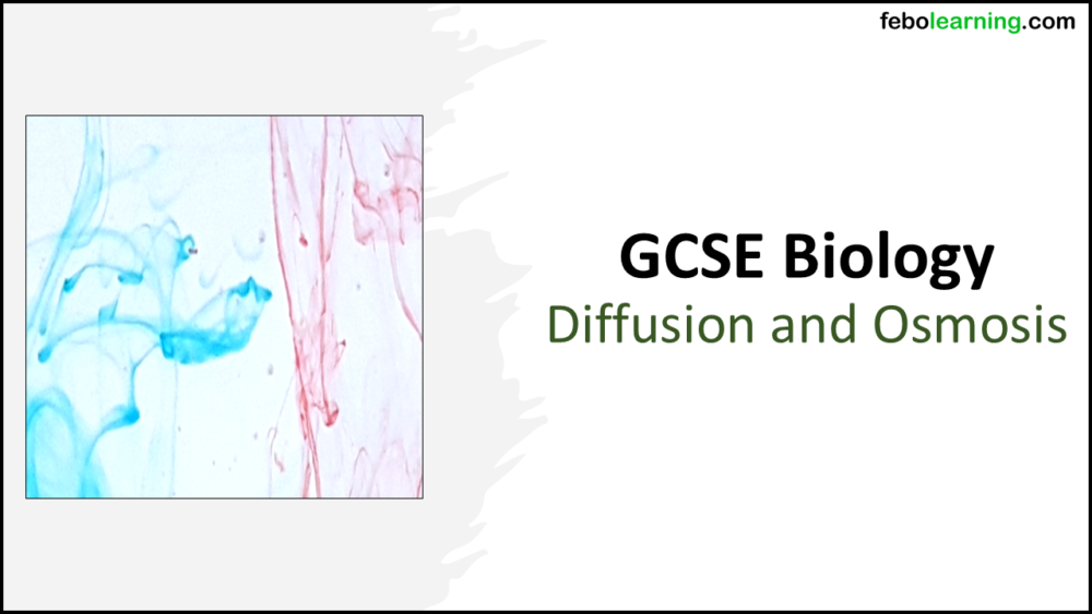 Diffusion and Osmosis GCSE Biology Title Title slide graphic for GCSE Biology Topic 1 Cells: Diffusion and Osmosis lesson
