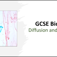 Diffusion and Osmosis GCSE Biology Title Title slide graphic for GCSE Biology Topic 1 Cells: Diffusion and Osmosis lesson