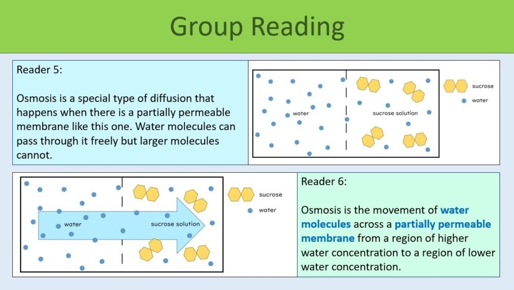 Diffusion and Osmosis Group Reading Preview of group reading slide