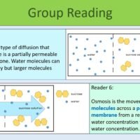 Diffusion and Osmosis Group Reading Preview of group reading slide