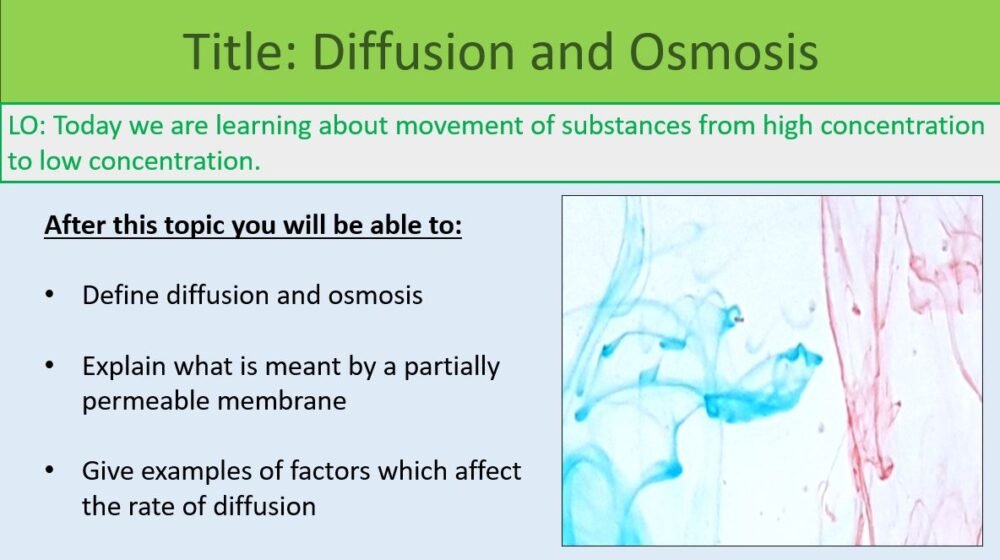 Diffusion and Osmosis LO Preview of lesson objectives slide for osmosis and diffusion.