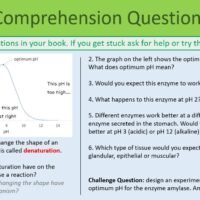 GCSE Biology Enzymes lesson Comprehension Task Preview