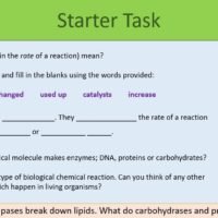 Enzymes Starter Task Preview