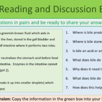 Enzymes and Digestion Group Reading Preview of Group Reading and Discussion Task