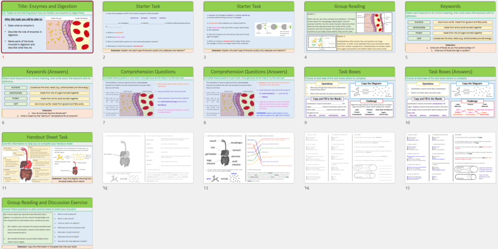 Enzymes and Digestion Screenshot GCSE Biology Topic 2 Organisation: Enzymes and Digestion Thumbnails of lesson slides