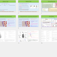 Enzymes and Digestion Screenshot GCSE Biology Topic 2 Organisation: Enzymes and Digestion Thumbnails of lesson slides