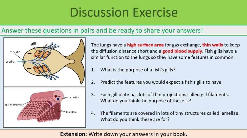 Preview of Discussion Exercise Slide
