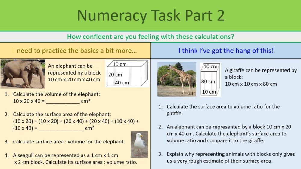 Preview of Numeracy Task Slide
