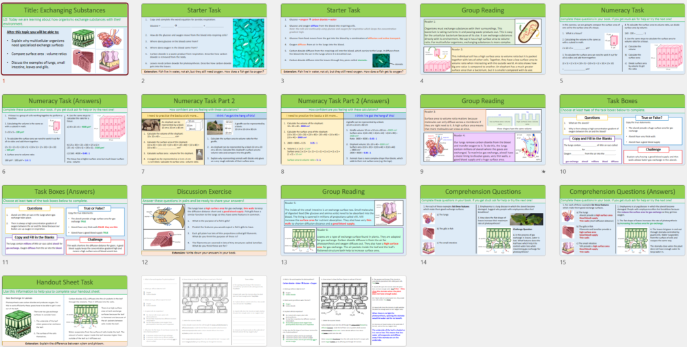 Thumbnail image of lesson slides for GCSE Biology - Exchanging Substances