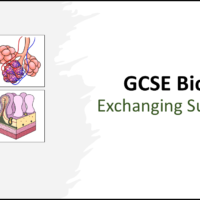 Title slide graphic for Exchanging Substances lesson GCSE Biology