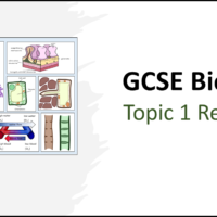 Title graphic GCSE Biology Topic 1 Cells: Revision Cells