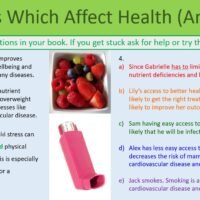 Preview of Factors that Affect Health (Answers) Task for the Health and Disease lesson