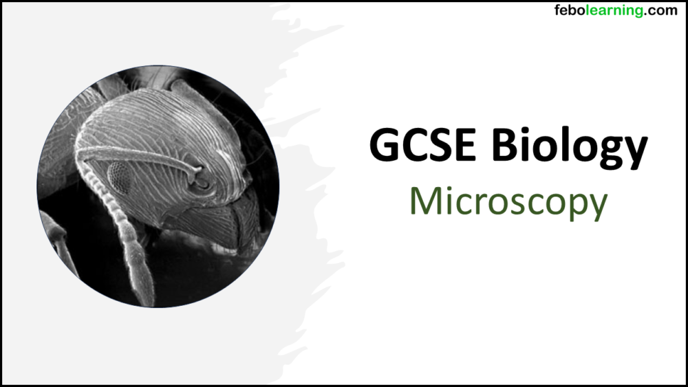 Graphic of title slide for GCSE Biology Topic 1 Cells: Microscopy