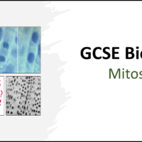 Mitosis GCSE Biology Title Graphic of title slide for GCSE Biology Topic 1 Cells: Mitosis lesson.