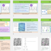 Preview slides for GCSE Biology Topic 1 Cells: Mitosis lesson.