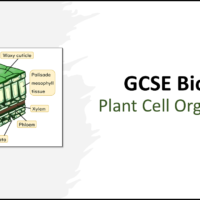 GCSE Biology Topic 2 Organisation: Plant Cells title slide