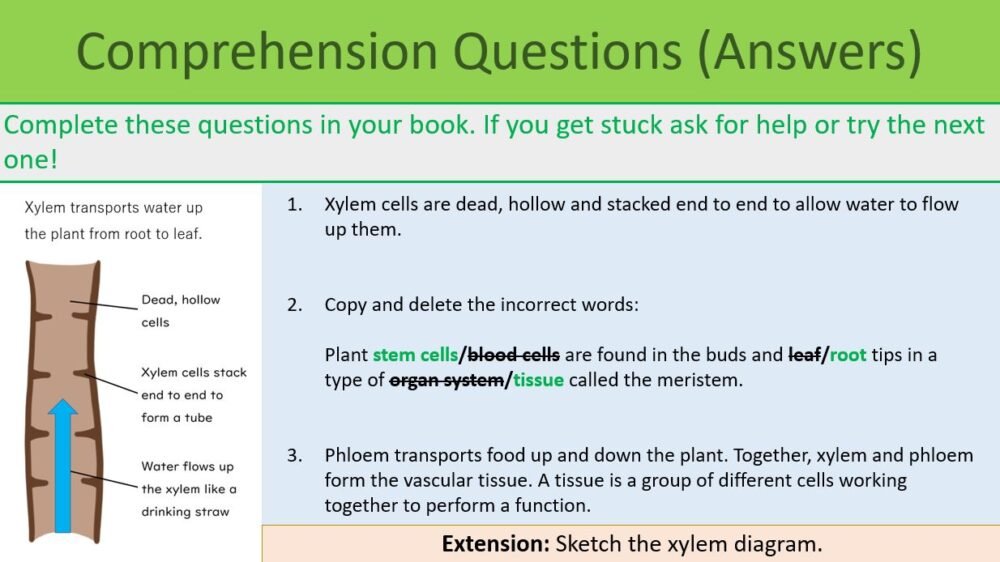 GCSE Biology Topic 2 Organisation: Plant Cells Lesson Objectives