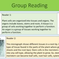 Plant Cells Group Reading Task