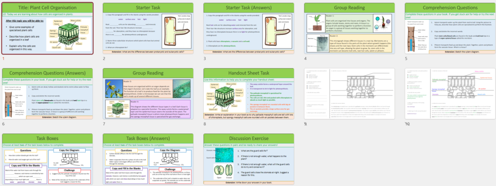 GCSE Biology Topic 2 Organisation: Plant Cells lesson slide thumbnails