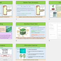 GCSE Biology Topic 2 Organisation: Plant Cells lesson slide thumbnails
