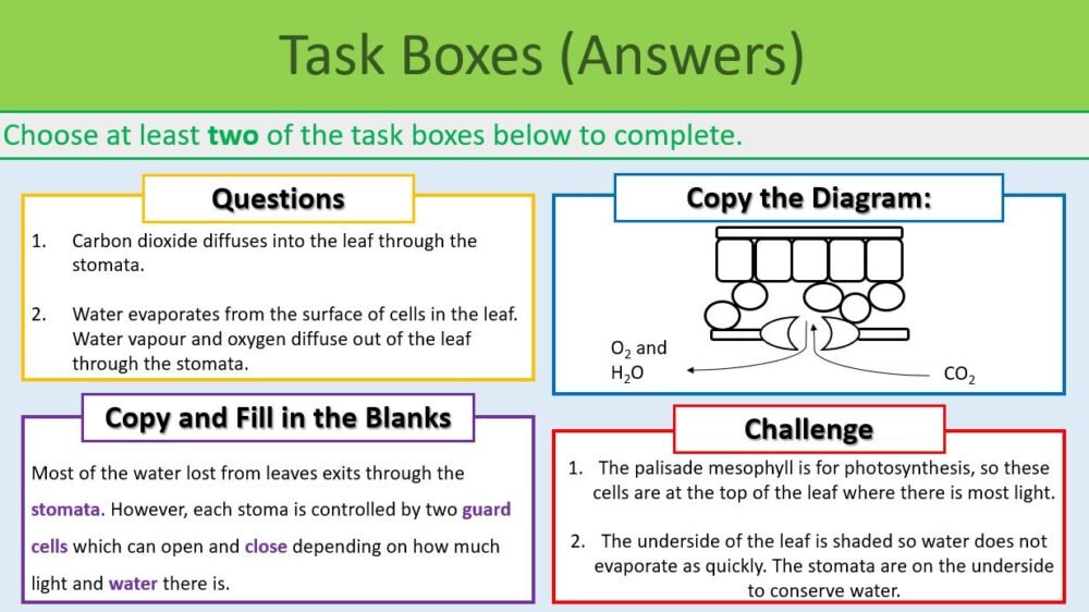 Task Boxes exercise