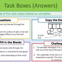 Task Boxes exercise