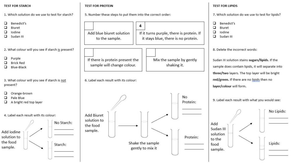 Preview of worksheet questions