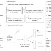 Preview of worksheet questions
