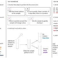 Preview of worksheet answers