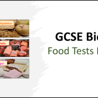 Title graphic for GCSE Biology Topic 2 Organisation: Food Test (Practical) Lesson