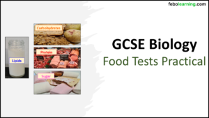 Next Lesson Food Test Practical