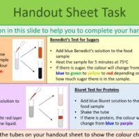 Preview of handout task from GCSE Biology Topic 2 Organisation: Food Test (Practical)