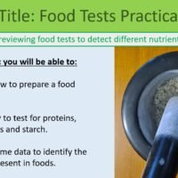 Preview GCSE Biology Topic 2 Organisation: Food Test (Practical) Lesson Objectives