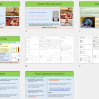 Thumbnails of lesson slides